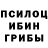 Псилоцибиновые грибы прущие грибы Ivan From