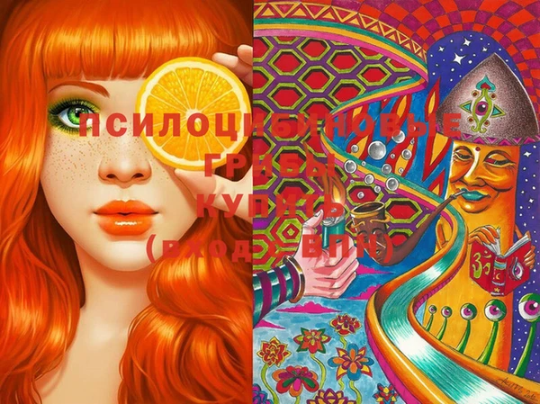 PSILOCYBIN Волоколамск
