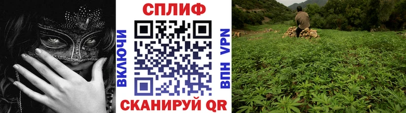 Марихуана семена  Купить закладки  Меленки 